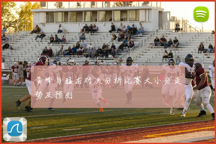 黄蜂与猛龙对决分析比赛大小分走势及预测