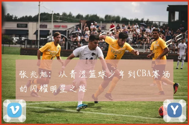 张兆旭：从青涩篮球少年到CBA赛场的闪耀明星之路