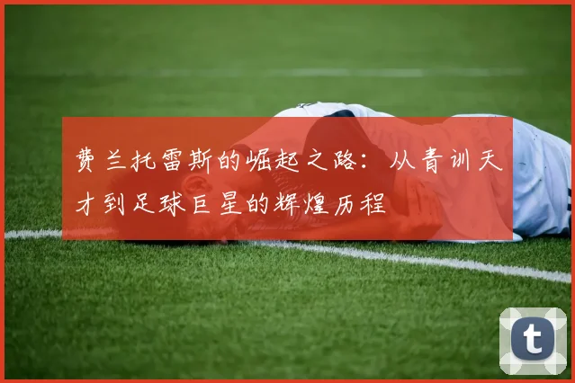 费兰托雷斯的崛起之路：从青训天才到足球巨星的辉煌历程